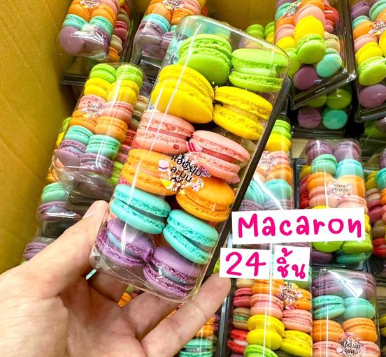 24 pcs พลาสติก